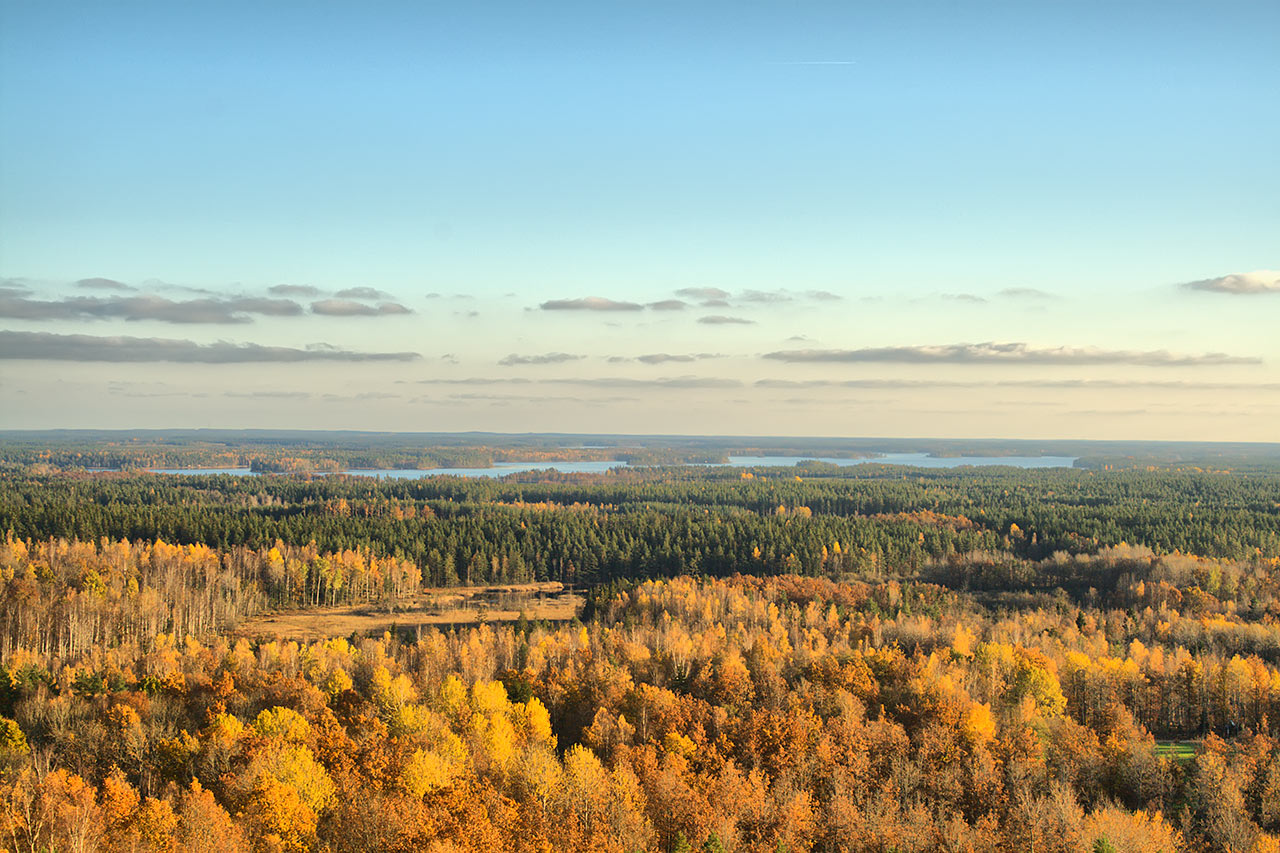 Herbst im Norden