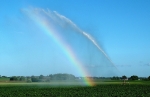 kleiner Regenbogen