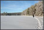 Winterfreuden am See