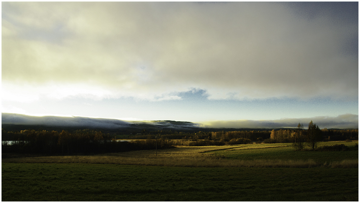 Nebel kommt