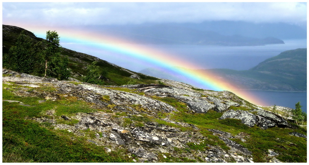 Regenbogen