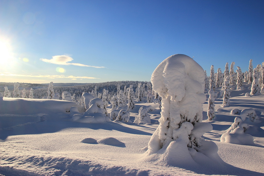 Schnee in Massen