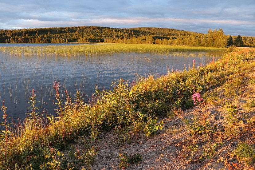 Abendsonne in Lappland