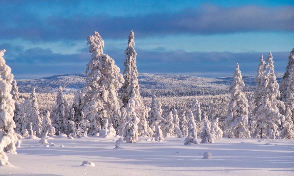 Langberget