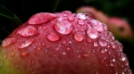 Apfel mit Tropfen