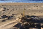 Eine neue Düne am Strand!