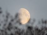 Mond 1