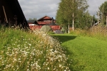 Zelten auf der Blumenwiese