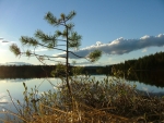 Frühling am See