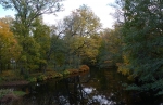 Herbst am Fluß...