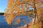 Herbst am Torvsjön