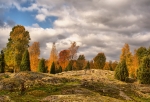 Herbst bei Stensjöby